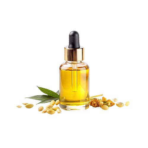 Vetiver oil Manufacturer in Aligarh